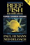 Reef Fish Identification Florida-Caribbean- Bahamas