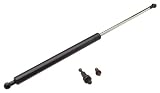 OES Genuine Hood Strut