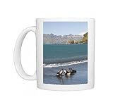 Fur seals, Moltke Harbour, Royal Bay, South Georgia, South Atlantic Photo Mugs