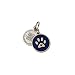 Pet Dwelling Blue Paw QR Code/NFC Pet ID Smart Tag w/Online Pet Profile/Scanned GPS Location