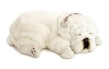 White Bulldog Perfect Petzzz Puppy Bundle