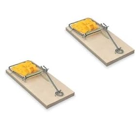 2 Mice / Mouse Traps