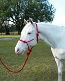Rope Halter W Lead Avg Red