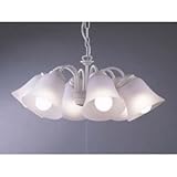 ���b�L�[ �V�����f���A LCE-17215