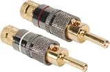 Dayton BPAX-AU Audiophile Banana Plug 2 Pair