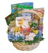 Boredom Buster Helathy Get Well Basket for Children