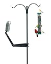 Wingscapes WSBR01 BirdCam Mounting Arm