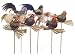 Accent Design Floral and Garden Accents Barnyard Bird Chicken with Nest Pick 2 Feather, Assorted Natural Color