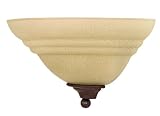 Nuvo 60/106 One Light Wall Sconce with Amber Water Glass, Old Bronze