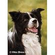 Border Collie Flag- 28 width x 40 length