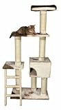 Eigenschaften Trixie  / Trixie Kratzbaum MONTORO - Beige-Braun