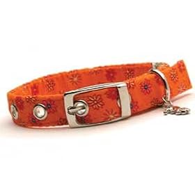 Designer Dog Collar ~ Orange Blossom ~ by Dixie Digs