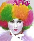 Neon Multi-Colored Afro Costume Wig