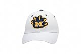 Michigan Wolverines M Paw X White ZHS Youth Flex Fit Hat