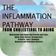 The Inflammation Pathway from Cholesterol to Aging (Software for download)