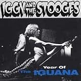 Year of the Iguana