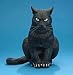 12" Latex Sitting Cat