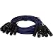 Pyle-Pro PPSN821 20 Ft. 8 Channel XLR Male to XLR Female Snake Cable