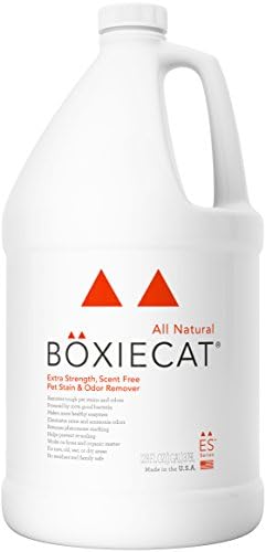 Boxiecat Premium Extra Strength Scent Free Stain & Odor Remover, 1 gallon