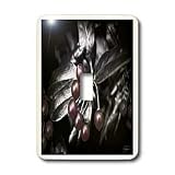 Angel Wings Designs Nature - Black and White Chrome Holly Leaves with hand colored berries - WOW - Light Switch Covers - single toggle switch
