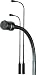 Astatic by CAD Gooseneck Cardioid Extended Frequency Condenser Mic, 10 In