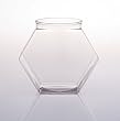 Plastic Display Bowl 30 oz Includes free snap on lid-Two per order