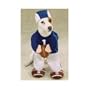 Halloween Costume For Dogs - Football Fever (Small)