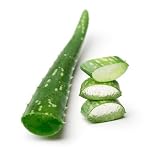 Sunfood Aloe Vera, Fresh - Box of 12