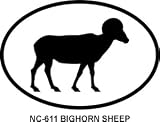 BIGHORN SHEEP Oval Bumper Sticker