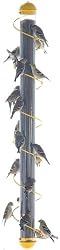 Bird Quest SBF5Y 36" Spiral Thistle Bird Feeder - Yellow