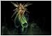 Absinthe Fairy for MacBook Pro 15.4