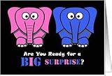 Baby Gender Reveal Party Invitation, Elephants Card