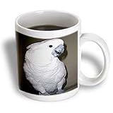 Birds - Umbrella Cockatoo - Mugs