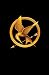 The World of the Hunger Games
