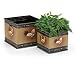 Set Of 2 French Country Rooster Embossed Tin Flower/Plant Planters For Kitchen Or Home Decor