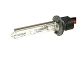 HID Bulb H1 10000K (1 pair)