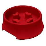 Slow 'Em Down Pet Bowl