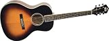 Recording King Rnj-16 Century Acoustic Guitar