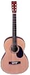 Hohner Concert Size Student Steel String Acoustic Guitar