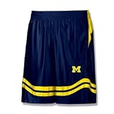 Michigan Wolverines Nike Shorts - Durasheen Force