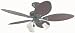 Hunter 23970 Oasis Three-Light 54-Inch Five-Blade Ceiling Fan, New Bronze and Antique Dark Plastic Wicker