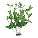 Green Hygrophila Plant - Bushy - 17 in.