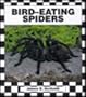 Bird-Eating Spiders