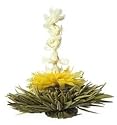 Teaposy Box of Six Falling Water Teaposies Blooming Flowering Silver Needled White Tea