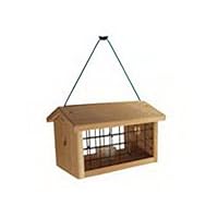 Protected Bluebird Jail Feeder