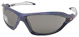 The North Face Prophet Blue/White Sunglasses 034S-0084