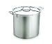 All-Clad Stainless 16-Quart Stockpot