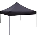 Black Canopy - 10'