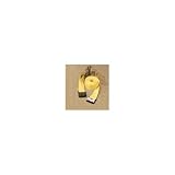 Highland 1272700 Ratchet Tie Down with Hook
