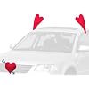 Mystic Industries Valentine's Day Vehicle Costume